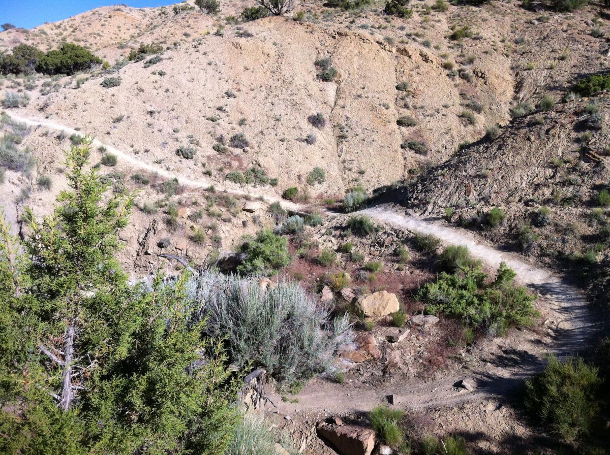 Chutes and Ladders photo